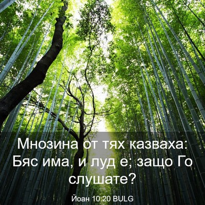 Picture 03 - Йоан 10:20 BULG - Мнозина от тях казваха: Бяс - Bible Verse Picture
