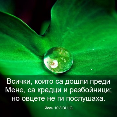 Picture 03 - Йоан 10:8 BULG - Всички, които са дошли - Bible Verse Picture