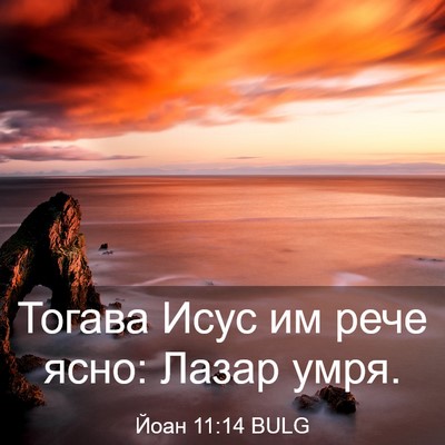 Picture 03 - Йоан 11:14 BULG - Тогава Исус им рече ясно: - Bible Verse Picture