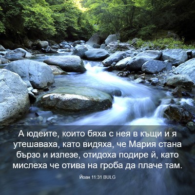 Picture 03 - Йоан 11:31 BULG - А юдеите, които бяха с нея в - Bible Verse Picture