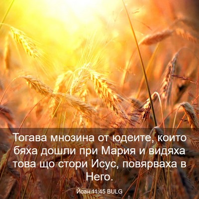 Picture 03 - Йоан 11:45 BULG - Тогава мнозина от юдеите, - Bible Verse Picture