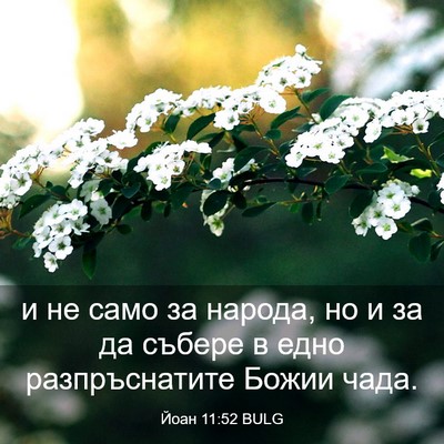 Picture 03 - Йоан 11:52 BULG - и не само за народа, но и за - Bible Verse Picture