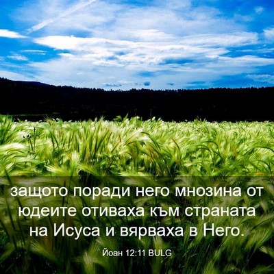 Picture 03 - Йоан 12:11 BULG - защото поради него мнозина - Bible Verse Picture