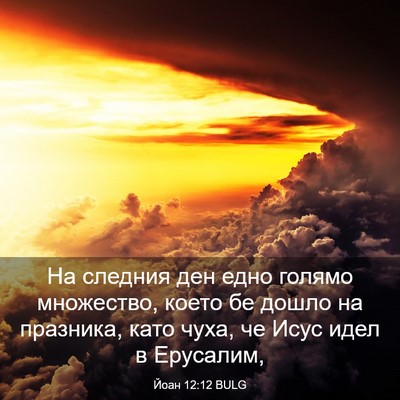 Picture 03 - Йоан 12:12 BULG - На следния ден едно голямо - Bible Verse Picture