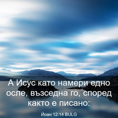 Picture 03 - Йоан 12:14 BULG - А Исус като намери едно - Bible Verse Picture