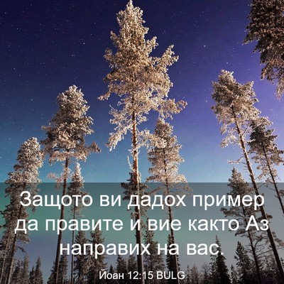 Picture 03 - Йоан 12:15 BULG - Защото ви дадох пример да - Bible Verse Picture
