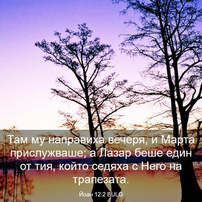 Picture 03 - Йоан 12:2 BULG - Там му направиха вечеря, и - Bible Verse Picture