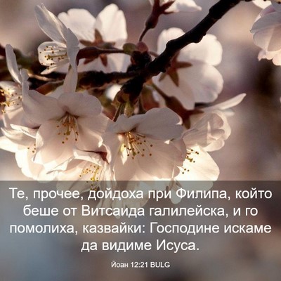 Picture 03 - Йоан 12:21 BULG - Те, прочее, дойдоха при - Bible Verse Picture