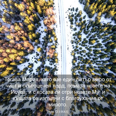 Picture 03 - Йоан 12:3 BULG - Тогава Мария, като взе един - Bible Verse Picture
