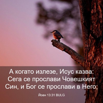 Picture 03 - Йоан 13:31 BULG - А когато излезе, Исус - Bible Verse Picture