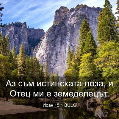 Picture 03 - Йоан 15:1 BULG - Аз съм истинската лоза, и - Bible Verse Picture