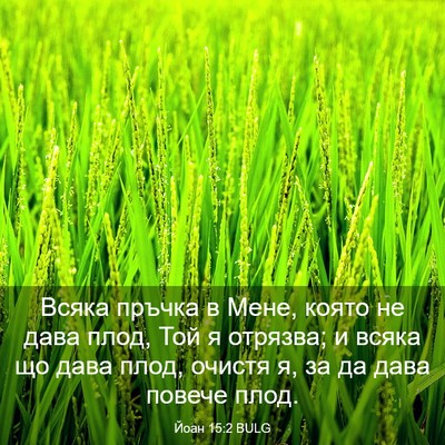 Picture 03 - Йоан 15:2 BULG - Всяка пръчка в Мене, която - Bible Verse Picture