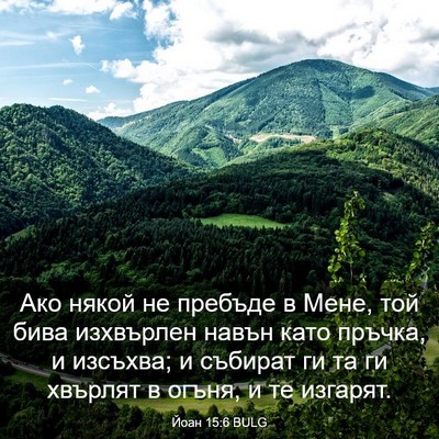 Picture 03 - Йоан 15:6 BULG - Ако някой не пребъде в - Bible Verse Picture