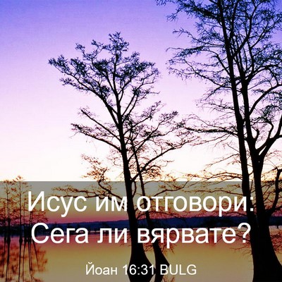 Picture 03 - Йоан 16:31 BULG - Исус им отговори: Сега ли - Bible Verse Picture