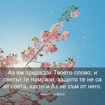 Picture 03 - Йоан 17:14 BULG - Аз им предадох Твоето - Bible Verse Picture