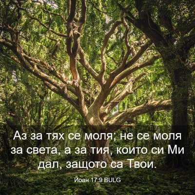 Picture 03 - Йоан 17:9 BULG - Аз за тях се моля; не се - Bible Verse Picture