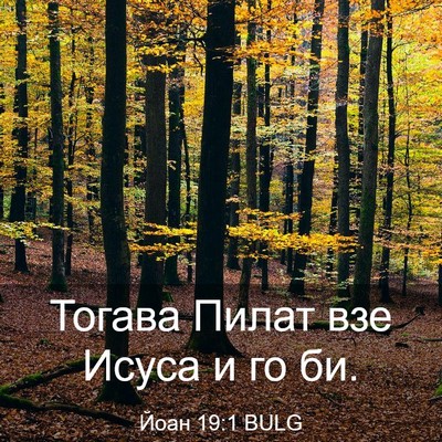 Picture 03 - Йоан 19:1 BULG - Тогава Пилат взе Исуса и го - Bible Verse Picture