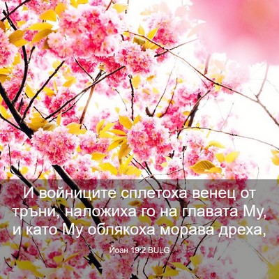 Picture 03 - Йоан 19:2 BULG - И войниците сплетоха венец - Bible Verse Picture
