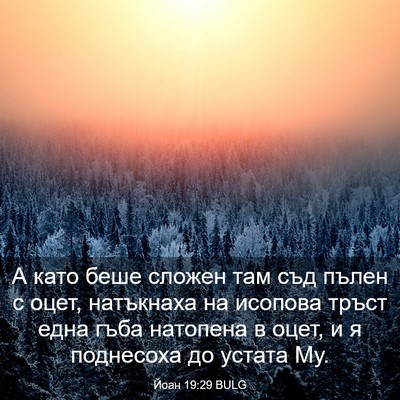 Picture 03 - Йоан 19:29 BULG - А като беше сложен там съд - Bible Verse Picture
