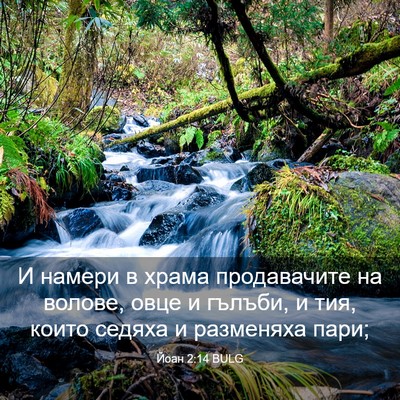 Picture 03 - Йоан 2:14 BULG - И намери в храма - Bible Verse Picture
