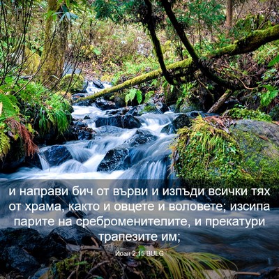 Picture 03 - Йоан 2:15 BULG - и направи бич от върви и - Bible Verse Picture