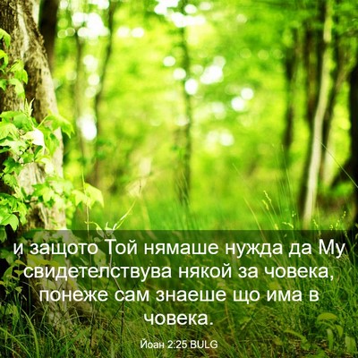 Picture 03 - Йоан 2:25 BULG - и защото Той нямаше нужда - Bible Verse Picture