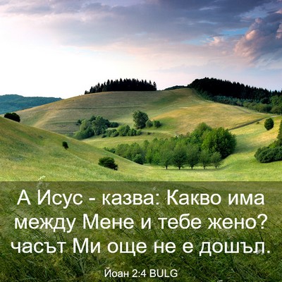 Picture 03 - Йоан 2:4 BULG - А Исус - казва: Какво има - Bible Verse Picture