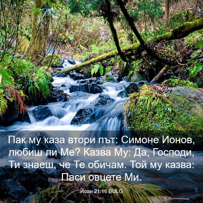 Picture 03 - Йоан 21:16 BULG - Пак му каза втори път: - Bible Verse Picture