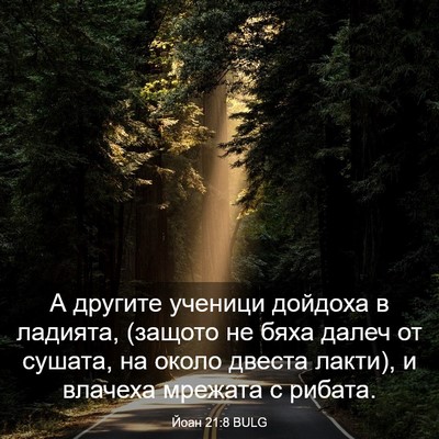 Picture 03 - Йоан 21:8 BULG - А другите ученици дойдоха - Bible Verse Picture