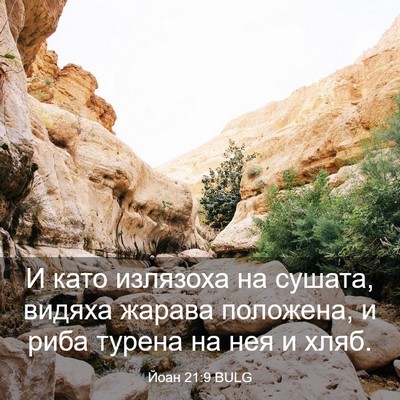 Picture 03 - Йоан 21:9 BULG - И като излязоха на сушата, - Bible Verse Picture