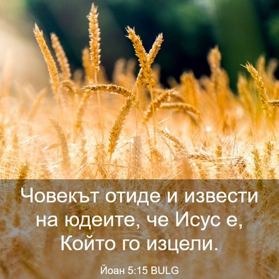 Picture 03 - Йоан 5:15 BULG - Човекът отиде и извести на - Bible Verse Picture