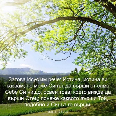 Picture 03 - Йоан 5:19 BULG - Затова Исус им рече: - Bible Verse Picture