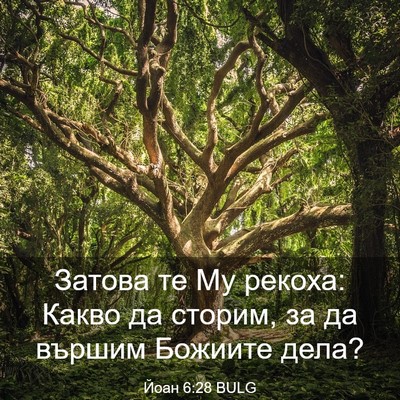 Picture 03 - Йоан 6:28 BULG - Затова те Му рекоха: Какво - Bible Verse Picture