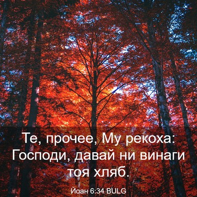 Picture 03 - Йоан 6:34 BULG - Те, прочее, Му рекоха: - Bible Verse Picture