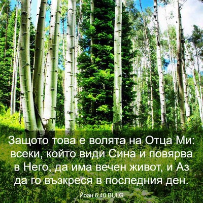 Picture 03 - Йоан 6:40 BULG - Защото това е волята на - Bible Verse Picture