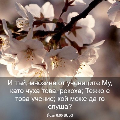Picture 03 - Йоан 6:60 BULG - И тъй, мнозина от учениците - Bible Verse Picture