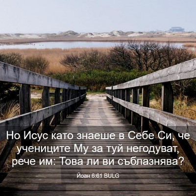 Picture 03 - Йоан 6:61 BULG - Но Исус като знаеше в Себе - Bible Verse Picture