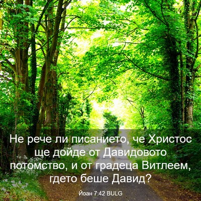 Picture 03 - Йоан 7:42 BULG - Не рече ли писанието, че - Bible Verse Picture
