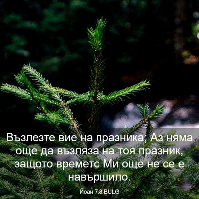 Picture 03 - Йоан 7:8 BULG - Възлезте вие на празника; - Bible Verse Picture