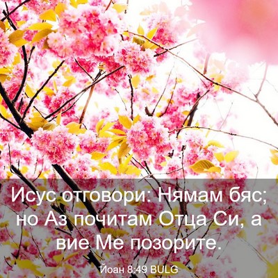 Picture 03 - Йоан 8:49 BULG - Исус отговори: Нямам бяс; - Bible Verse Picture