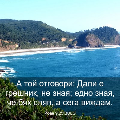 Picture 03 - Йоан 9:25 BULG - А той отговори: Дали е - Bible Verse Picture