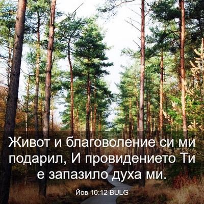 Picture 03 - Йов 10:12 BULG - Живот и благоволение си ми - Bible Verse Picture
