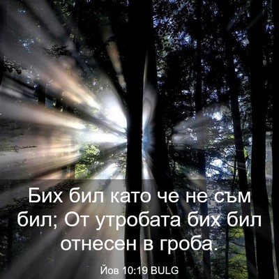 Picture 03 - Йов 10:19 BULG - Бих бил като че не съм бил; - Bible Verse Picture