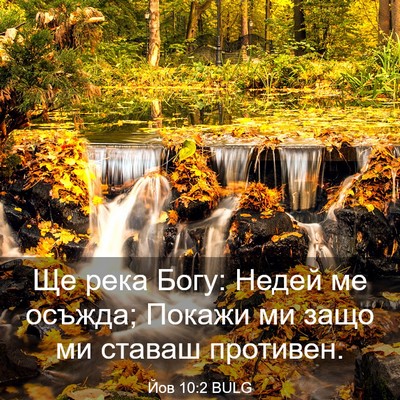 Picture 03 - Йов 10:2 BULG - Ще река Богу: Недей ме - Bible Verse Picture