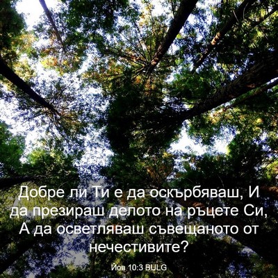 Picture 03 - Йов 10:3 BULG - Добре ли Ти е да - Bible Verse Picture