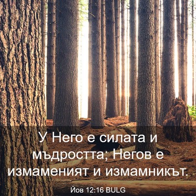 Picture 03 - Йов 12:16 BULG - У Него е силата и - Bible Verse Picture