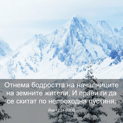 Picture 03 - Йов 12:24 BULG - Отнема бодростта на - Bible Verse Picture