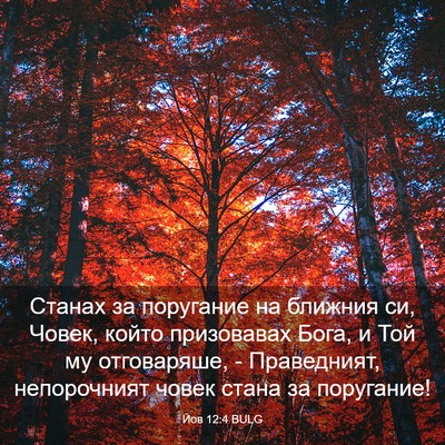 Picture 03 - Йов 12:4 BULG - Станах за поругание на - Bible Verse Picture