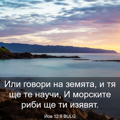 Picture 03 - Йов 12:8 BULG - Или говори на земята, и тя - Bible Verse Picture
