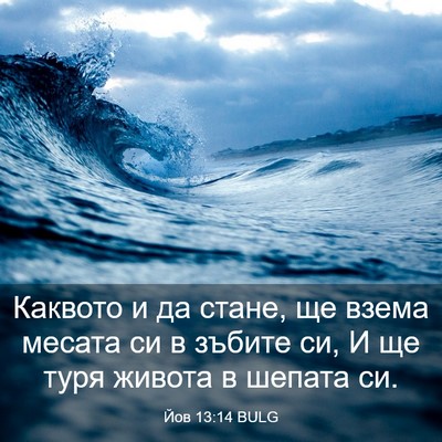 Picture 03 - Йов 13:14 BULG - Каквото и да стане, ще - Bible Verse Picture